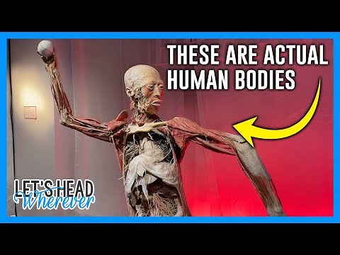 REAL BODIES EXHIBIT – LAS VEGAS