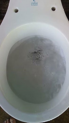 Crane atlas toilet long double flush
