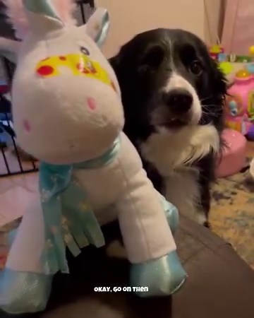 44K views · 3.4K reactions | Casper lost his edge | TeamCasp47 | Facebook