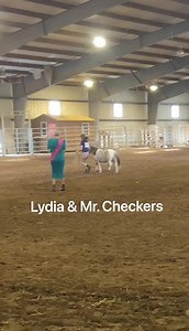 1.7K views · 148 reactions |  Mr. Checkers goes to the horse show, and takes home some ribbons   We are so proud of our Mr. Checkers | Harmony Lane Farms Goat Milk Soap & Jolly Kakes Bakery | Facebook