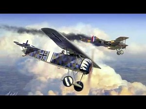 The Fokker D VIII Flying Razor at the Old Rhinebeck Aerodrome