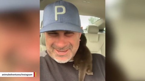 This baby otter can't stop kissing man