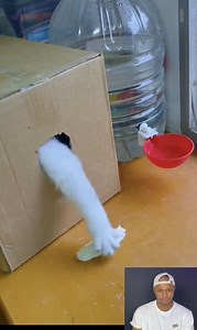 42K views · 184 reactions | Using Your Brain. | Bucee Brain | Facebook