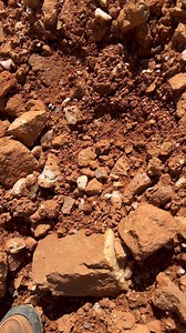 Surface picking for tiny points can be so rewarding! To find the perfect mine for you, download our E-Book in our linktree! #arkansas #arkansastourism #naturalstate #rockhounding #crystaldigging #arkansasthingstodo #hotsprings | Arkansas Crystal Girls