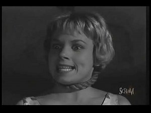 An attractive family (1962)