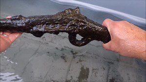 15K views · 75 reactions | This begins the journey! Waterlogged Burnside Carbine Preservation Take One | Exploring Alabama | Facebook