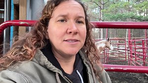 17K views · 2K reactions | ❤️54 RESCUED WITH THE BUY-OUT IN...