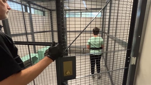 If you're tired of this, imagine how the 99% of students, parents, teachers and school staff are feeling. Today, 11-year-old Caiden Sanford became the latest Volusia County student charged with a felony for threatening his fellow students. Caiden wrote a "k ill list" on his desk at Southwestern Middle School because he was angry and having a bad day. | Volusia Sheriff's Office