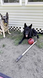 He’s a hot mess. Trying to run off the crazy before I go see the dentist about my broken tooth 🥵 | Ten Shakes of Grace