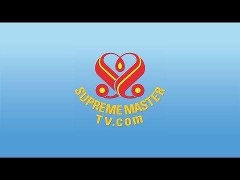 SupremeMasterTV Live (720p 1 + 119,200 x Max)