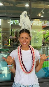 Maria Menounos on Reels