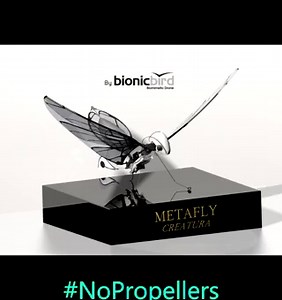 3.5K views · 117 reactions | MetaFly - The biomimetic drone invented by an aeronautical engineer. Discover the flight by flapping wings! Unique in the world.. | Bionic Bird | Facebook