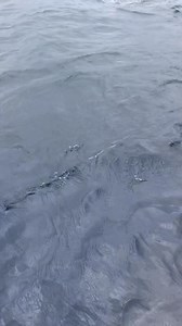 pauwi nlng sna sinibad pa ng malaking blue marlin ayos ito mga kadagat 5miles from lapayit #fblifestylechallengeviral #followersreelsfypシ゚viralシfypシ゚viralシ #fbyシvideo #pacificocean | boss Dtv