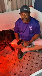 The pups have arrived! Alcor Black Widow x Alcor Ghost Rider.. AKA.. Johnny Blaze. Better late than never! 🙏🏽🐾❤️ | Thomas Kennerly Cathy Kennerly