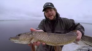 Who’s tried pike fishing 🎣 #fishing #pikefishing #cabinlife #Alaska | Alaska Outdoors Television