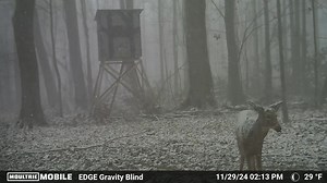 The older I get the more I respect the toughness of wildlife. Moultrie Products | Created Outdoors | Facebook