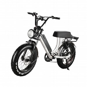 [Hot Item] 48V 500W Electric Bicycle Ebike Fat Tire Electric MTB Mountain/Snow/Dirt Bike Adult Electric Bike