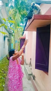 HNUMAN VI MERE BIBI KE SATH MAJK MAJK KHEL RAHA HA #funnyreelsvideo #funnymoments | Papai Nandi