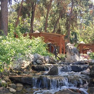 1.3K views · 105 reactions | Blue, Green and nature... Best combination for a perfect day #green #greenlovers #nature #holiday #rixospremiumbodrum #realluxury #luxury #luxurylife #bodrum | Rixos Premium Bodrum | Facebook