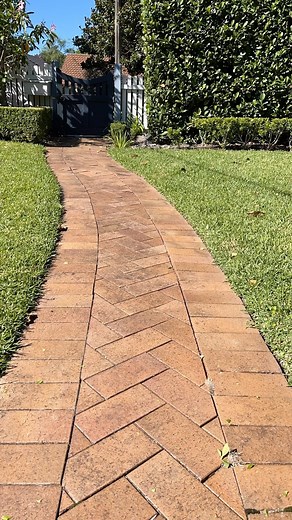 Just a quick edging job job makes all the difference. #edging #whippersnipper #linetrimmer #gardener #sharp #stihlaustralia | Blossom Lawns & Gardens