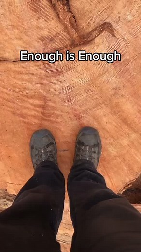 Read our camp handbook. Search “Fairy Creek HQ“ in Google maps. Then join us on the front lines￼￼. This is the last stand ✊￼