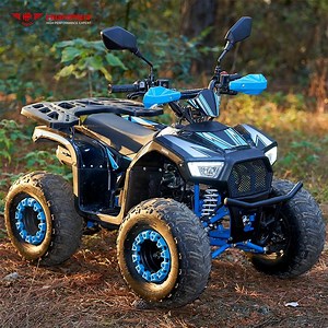 [Hot Item] 110cc Gasoline Quad Bikes Kids Adults Farm Atvs & Utvs