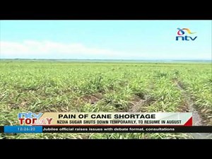 Nzoia Sugar shuts down temporarily, to resume in August