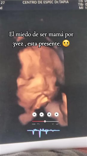 Cuentas recomendadas