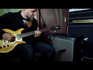 Fender super reverb 76 demo