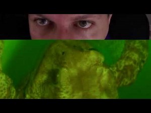 Cytherea - "Devil Dinosaur" (antivideo by Flavio Sciolè, 2017)