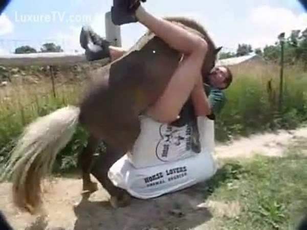 Gay zoofílico follado por un caballo