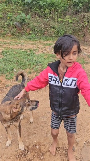 You can never mess with Nature #Coorg #Nature #DoNotLitter | Bajan Bopanna