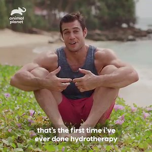 Even though she has one leg, this pup NEVER gives up! #EvanGoesWild Shout out to Animal SOS Sri Lanka for taking in this brave pup. | Animal Planet