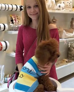 18 reactions |  FOR PETS ONLY   BEAUTIFUL CUSTOMERS   Milano   Poody Wearing "Amore Mio" soooo Fabbb  Love Is Our Secret Ingredient  | For Pets Only | Facebook