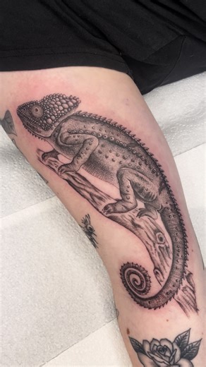 Chameleon Tattoo Designs and Meaning