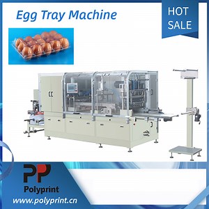 [Hot Item] Egg Plastic PP Pet PVC Tray Making Machine