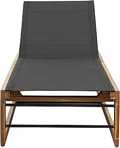 Christopher Knight Home Emile Outdoor Adjustable Chaise Lounge - Mesh and Wood - Black/Teak