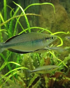 2.7K views · 178 reactions | Zoo Leipzig on Reels | Facebook