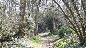 Lesnes Abbey Woods - Alchetron, The Free Social Encyclopedia