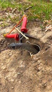 #snakecare #snake #reelssnake #snakefb #snaketv #snakelife #viralsnake #reels #reelsfb #amazingsnake #snakevideo #snakenatural #reelschallenge #reels #reelsfbシ #reelsfb #usa #japan #fbreels #usa #japan #canada #reelsusa #snaketv #snakelover #usareels #usa | Snake TV