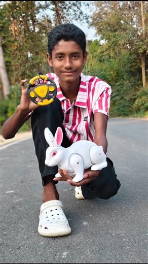 New remote control rabbit 🐰 unboxing and review test