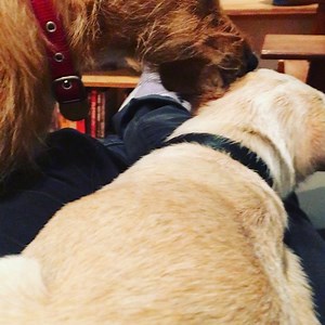 Kate Moennig on Instagram: "The good wife @leisha_h"