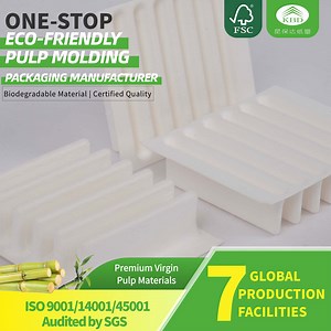 [Hot Item] Medium Soft Paper Pulp Tray Crafted with Bagasse and Wood