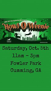 Mark your calendars 🗓️ start planning your costumes 👻 and practicing your HOWLS for our annual Howl-O-Weenie event ⬇️ Date: Saturday, October 5, 2024 Time: 11am - 3pm Location: Fowler Park - Cumming, GA More information will be posted as we finalize the details, so stay tuned 👀 Dreamrescue.org #dreamalumniclub #dachshundrescue #fowlerpark #howloweenie #dachshundlove | DREAM Dachshund Rescue