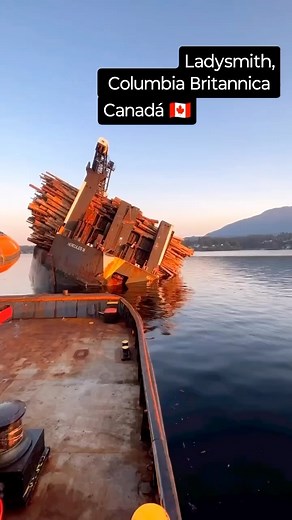 24K views · 21 reactions | SeaFormat on Reels | Facebook