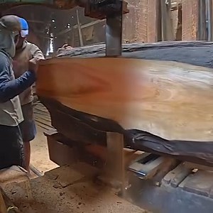 17K views · 462 reactions | sawmill old giant wood | Sawmill & Woodworking | Facebook