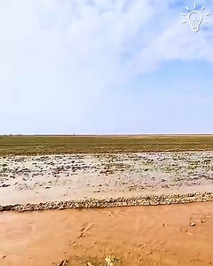 2.2K views | DIY farming dam design and construction 樂樂 | Fascinating Woman | Facebook