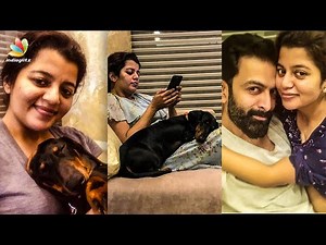 Supriya Menon-ന്റെ നെഞ്ചിലുറകുന്ന Zorra | Prithviraj, Prarthana | Aadujeevitham | Latest News