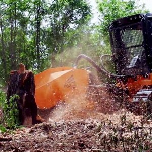 Challenging forestry jobs in tight spaces? Put the FAE PT175 to the test! Designed for maximum agility and superior performance! 👉https://ow.ly/p0TI50RncTi #FAEmachinery #MAKETHEDIFFERENCE #landclearing #PT175 #trackedcarrier | FAE USA