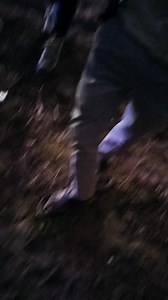 1.3K views · 11 reactions | Tujhko Na dekhun to Ji ghabrata hai nice love you song band music....♥️ . . . . . . . . #rockcstarband #gklionsband #skstarband #viralreels #adivasitimli #naseebstarband #superkingband #timli #aadiwshitimlidance | Kiran Vsv | Facebook